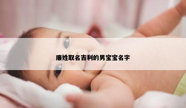 廉姓取名吉利的男宝宝名字