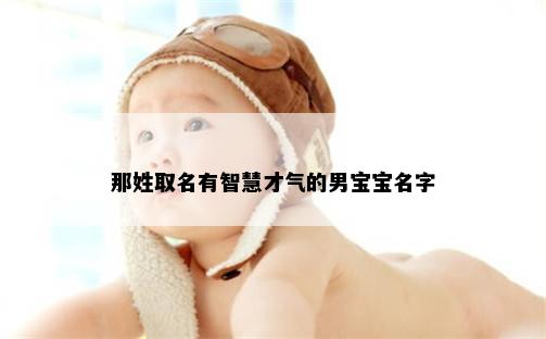 那姓取名有智慧才气的男宝宝名字