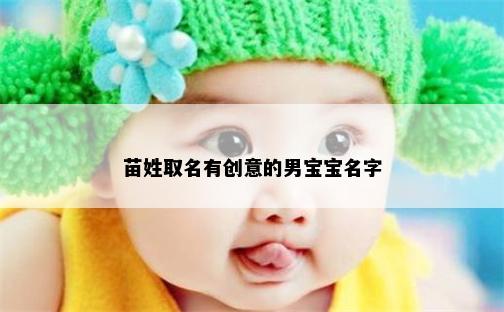 苗姓取名有创意的男宝宝名字