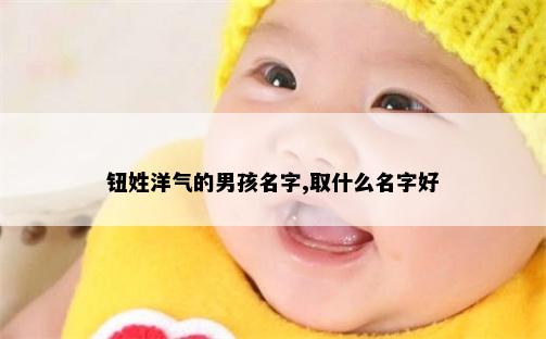 钮姓洋气的男孩名字,取什么名字好