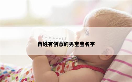 苗姓有创意的男宝宝名字
