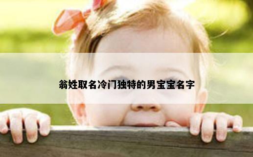 翁姓取名冷门独特的男宝宝名字