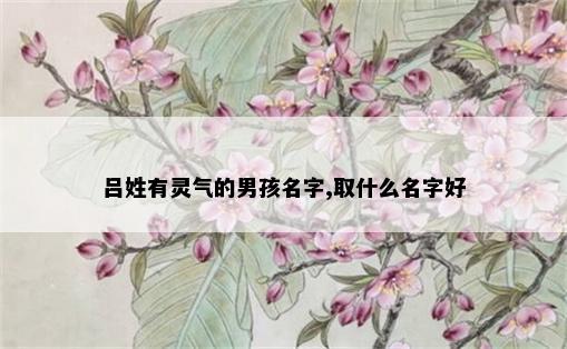 吕姓有灵气的男孩名字,取什么名字好