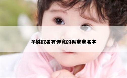 羊姓取名有诗意的男宝宝名字