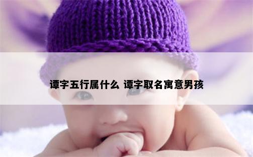 谭字五行属什么 谭字取名寓意男孩