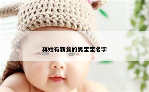 蒋姓有新意的男宝宝名字