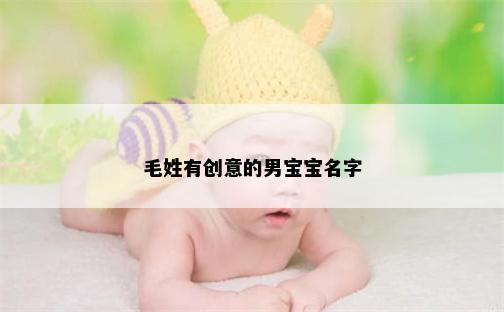 毛姓有创意的男宝宝名字