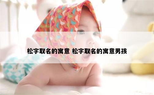 松字取名的寓意 松字取名的寓意男孩