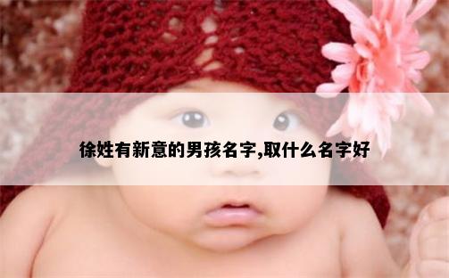 徐姓有新意的男孩名字,取什么名字好