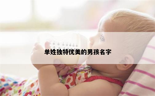 单姓独特优美的男孩名字