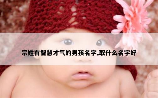 宗姓有智慧才气的男孩名字,取什么名字好