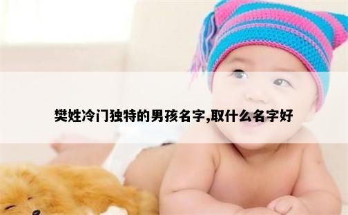 樊姓冷门独特的男孩名字,取什么名字好