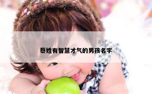 蔡姓有智慧才气的男孩名字