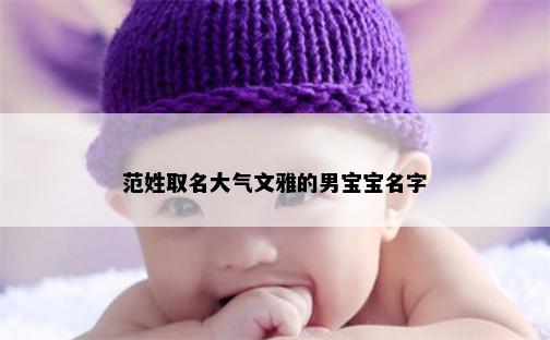 范姓取名大气文雅的男宝宝名字