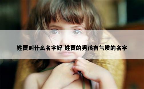 姓贾叫什么名字好 姓贾的男孩有气质的名字