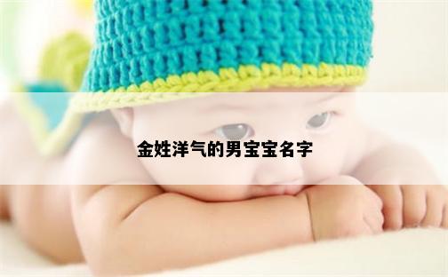 金姓洋气的男宝宝名字