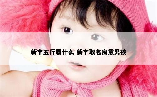 新字五行属什么 新字取名寓意男孩