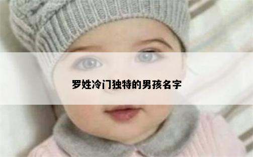 罗姓冷门独特的男孩名字