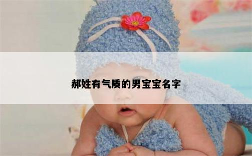 郝姓有气质的男宝宝名字