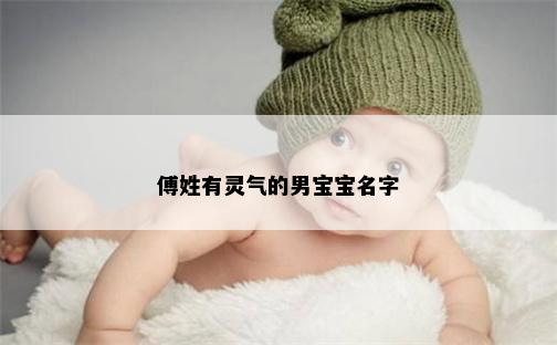 傅姓有灵气的男宝宝名字