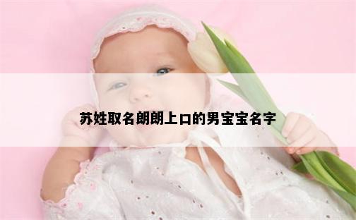 苏姓取名朗朗上口的男宝宝名字