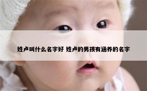 姓卢叫什么名字好 姓卢的男孩有涵养的名字