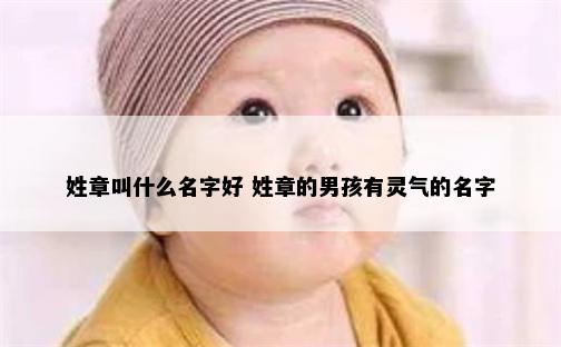 姓章叫什么名字好 姓章的男孩有灵气的名字