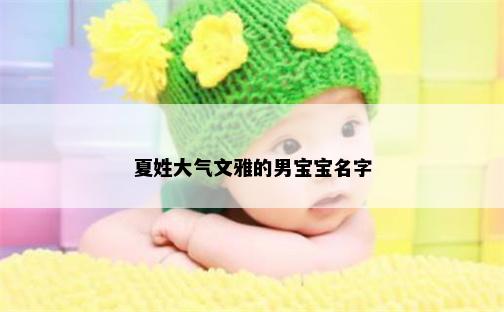 夏姓大气文雅的男宝宝名字