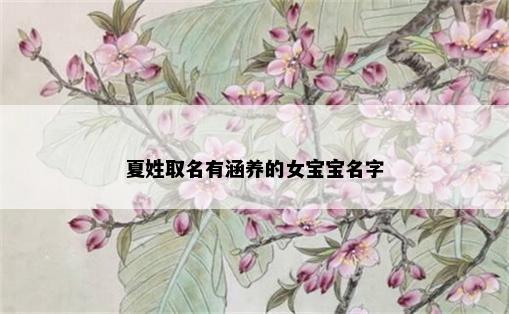 夏姓取名有涵养的女宝宝名字