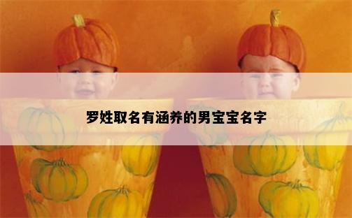 罗姓取名有涵养的男宝宝名字