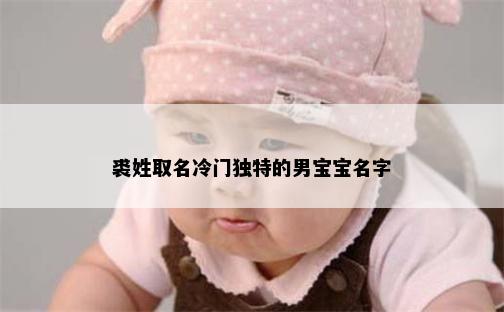 裘姓取名冷门独特的男宝宝名字