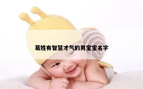 葛姓有智慧才气的男宝宝名字