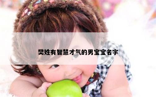 樊姓有智慧才气的男宝宝名字