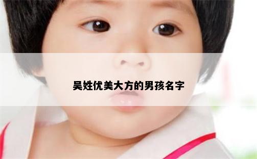 吴姓优美大方的男孩名字