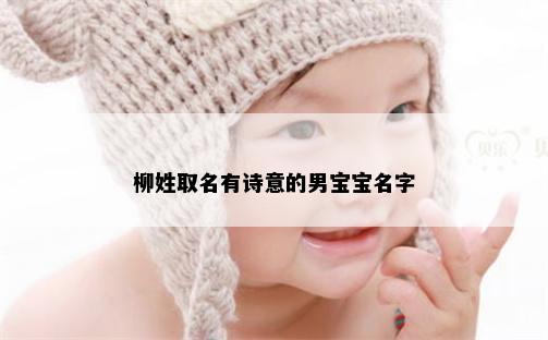 柳姓取名有诗意的男宝宝名字