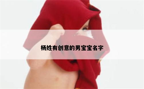 杨姓有创意的男宝宝名字