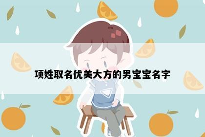 项姓取名优美大方的男宝宝名字