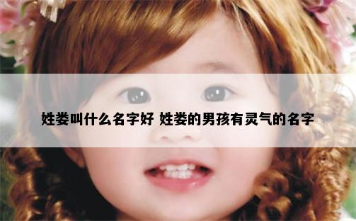 姓娄叫什么名字好 姓娄的男孩有灵气的名字