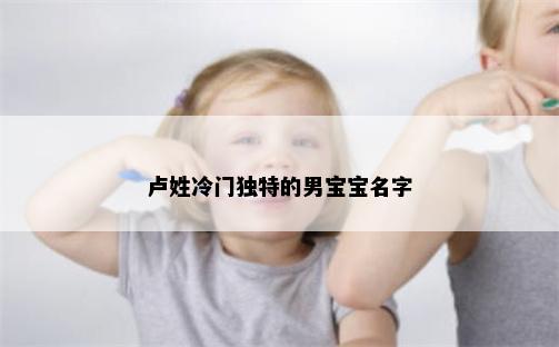 卢姓冷门独特的男宝宝名字