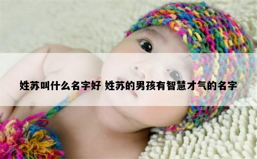 姓苏叫什么名字好 姓苏的男孩有智慧才气的名字