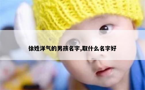 徐姓洋气的男孩名字,取什么名字好