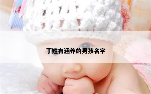 丁姓有涵养的男孩名字