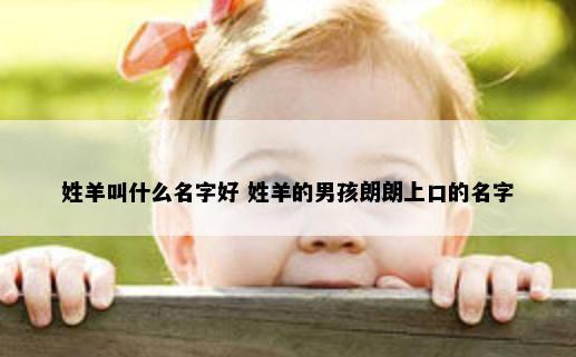 姓羊叫什么名字好 姓羊的男孩朗朗上口的名字