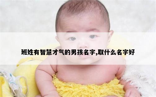 班姓有智慧才气的男孩名字,取什么名字好