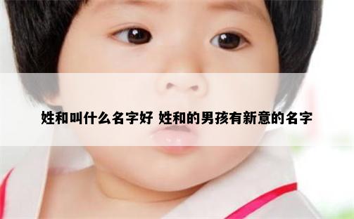 姓和叫什么名字好 姓和的男孩有新意的名字