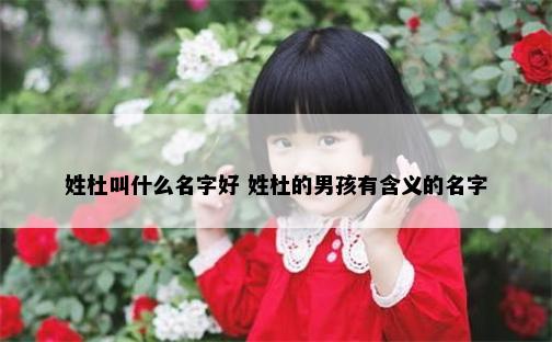 姓杜叫什么名字好 姓杜的男孩有含义的名字