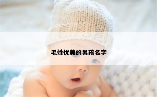 毛姓优美的男孩名字
