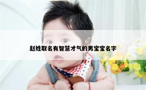 赵姓取名有智慧才气的男宝宝名字