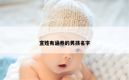 宣姓有涵养的男孩名字