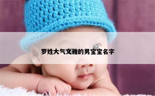 罗姓大气文雅的男宝宝名字